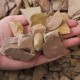 Medium Aztec Flagstone Chips Medium Aztec Flagstone Chips