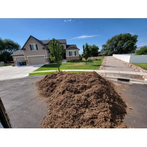 Deliveries Image