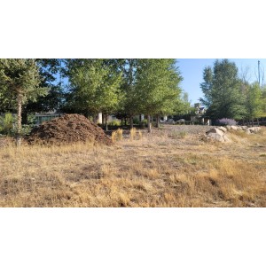 Deliveries Image