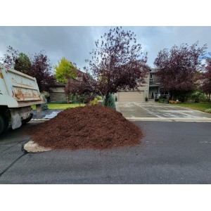Deliveries Image
