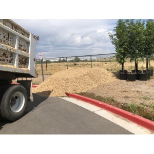 Deliveries Image