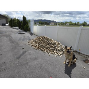 Deliveries Image