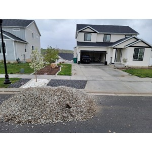 Deliveries Image