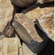 Wild Desert Boulders Wild Desert Boulders