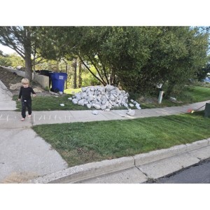 Deliveries Image