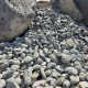 1-2" Baja Beach Pebbles 