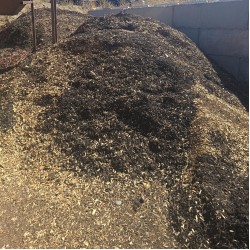 Mixed Mulch - Multi Color