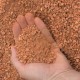 Moab Insta-Path