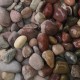 1 1/2" Rainbow Pebbles