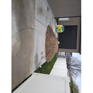 Deliveries Image