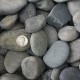 1-2" Mexican Beach Pebbles