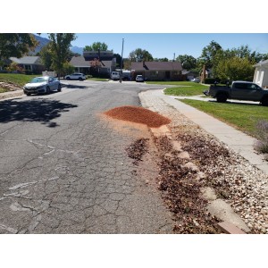 Deliveries Image