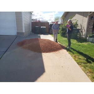 Deliveries Image