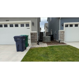 Deliveries Image