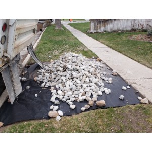 Samples Image