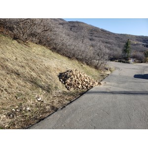 Deliveries Image