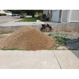 Deliveries Image