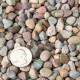 3/8" Rainbow Pebbles