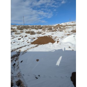 Deliveries Image
