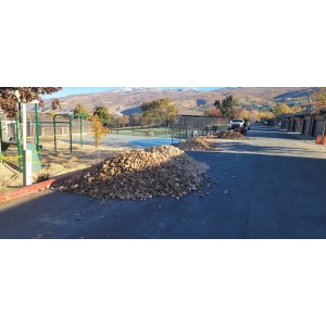 Deliveries Image