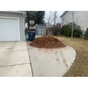 Deliveries Image