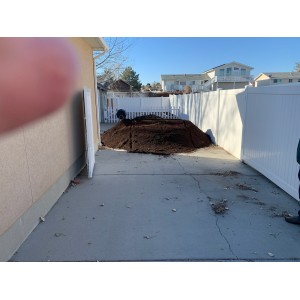 Deliveries Image