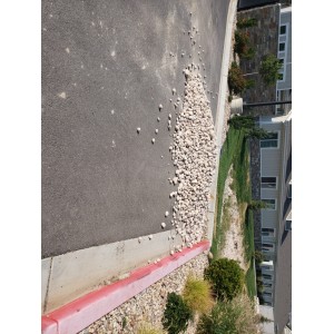 Deliveries Image