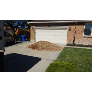 Deliveries Image