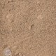 Gorilla Landscape™ All-Purpose Sand