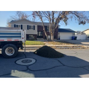 Deliveries Image