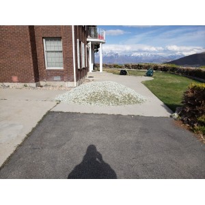 Deliveries Image