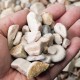 3/4" Lakeside Gravel *Discontinued 3/4" Lakeside Gravel *Discontinued