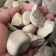 1-2" Lakeside River Rock 1-2" Lakeside River Rock