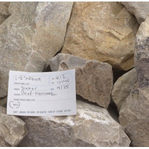 Samples Image