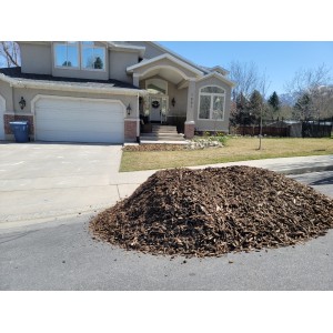 Deliveries Image