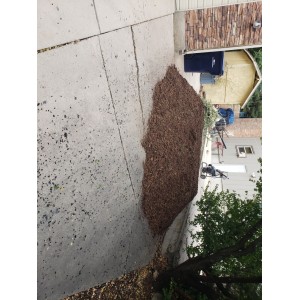Deliveries Image