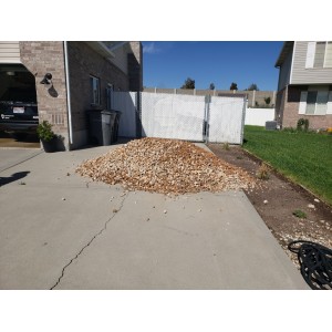 Deliveries Image