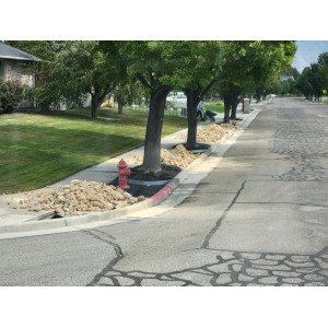 Deliveries Image