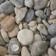 3/4-2" Olympus Pebbles