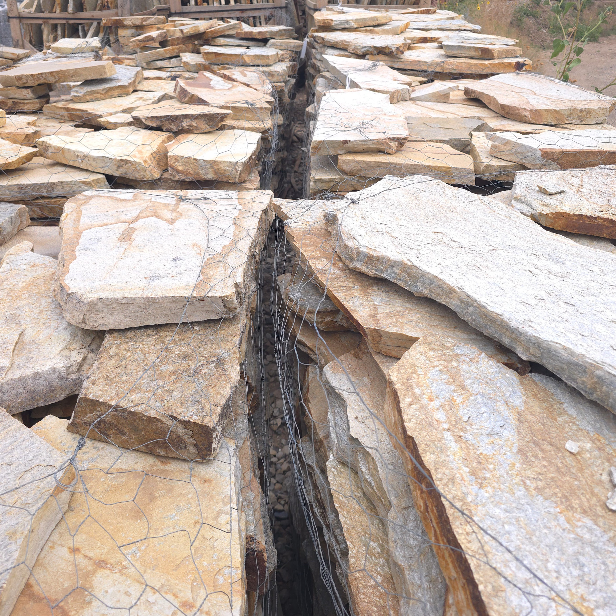 Buried Treasure Flagstone 1 ¾ – 2 1/4