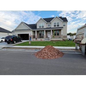 Deliveries Image
