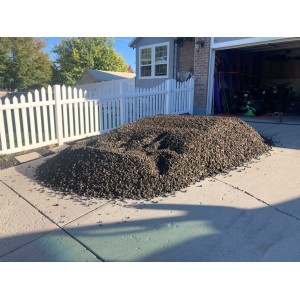 Deliveries Image