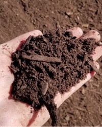 Soil & Compost