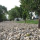 3-4" Oquirrh Cobble 3-4" Oquirrh Cobble