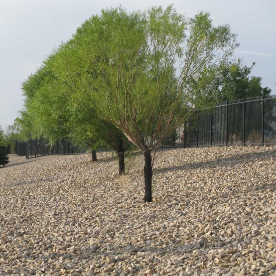 3-4" Oquirrh Cobble 3-4" Oquirrh Cobble