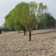 3-4" Oquirrh Cobble 3-4" Oquirrh Cobble