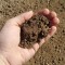 Screened Topsoil & Compost Mix
