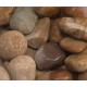 2-4" Autumn Sunrise Cobble 2-4" Autumn Sunrise Cobble