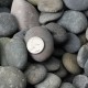 1/2" - 1" Mexican Beach Pebbles