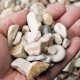 3/4" Lakeside Gravel *Discontinued